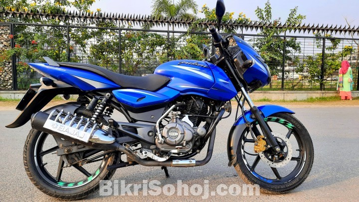 Pulsar Safari Blue 2018